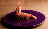 Sushi Suntos