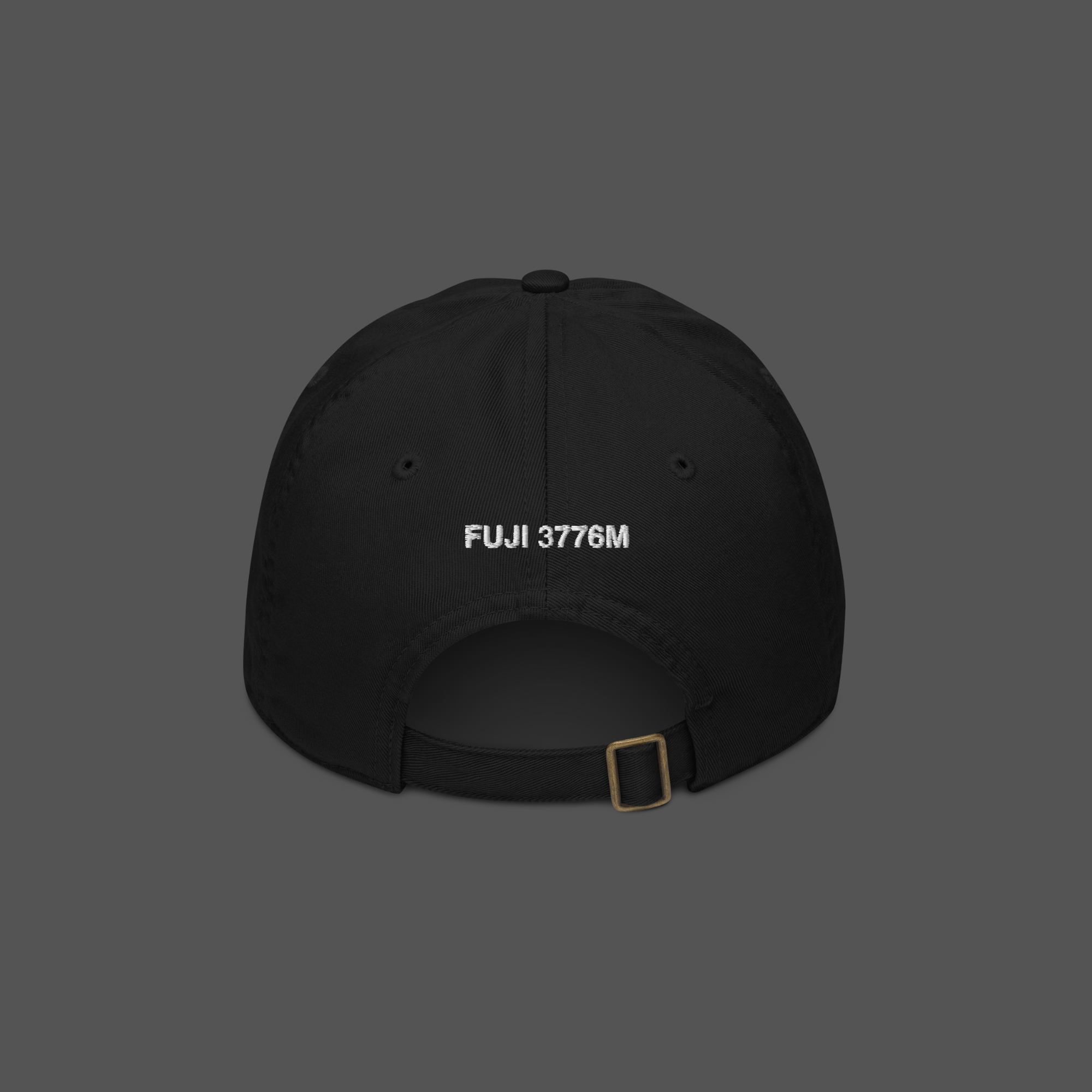 FUJI 3776M CAP