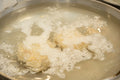 Tonkatsu Narikura