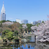 Shinjuku Gyoen