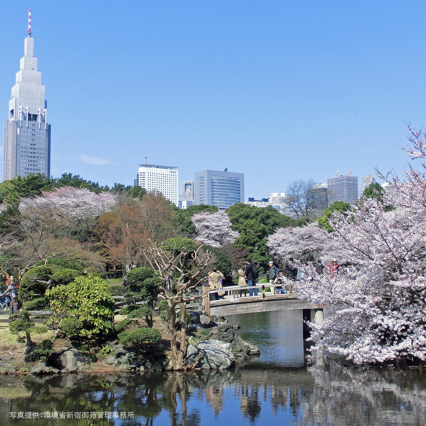 Shinjuku Gyoen