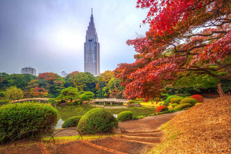 Shinjuku Gyoen